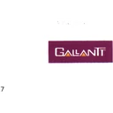 Gallantt Ispat Ltd.