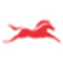 TVS Motor Company Ltd.
