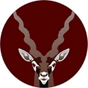 Antelopus Selan Energy Ltd.