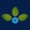 Anupam Rasayan India Ltd.